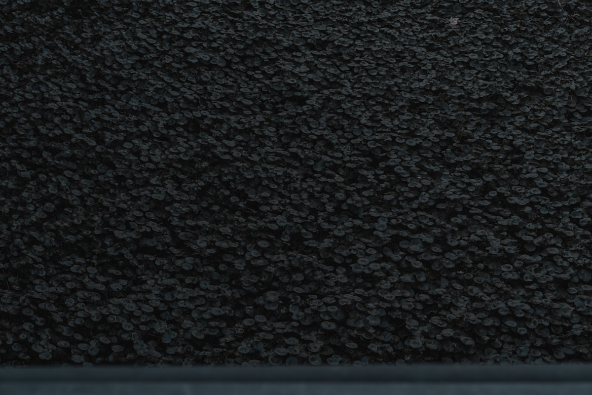 Campioni materiali gomma Linea Dinamica